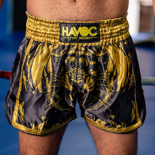 HAVOC Savage Tiger Set – Rash Guard + Muay Thai Shorts