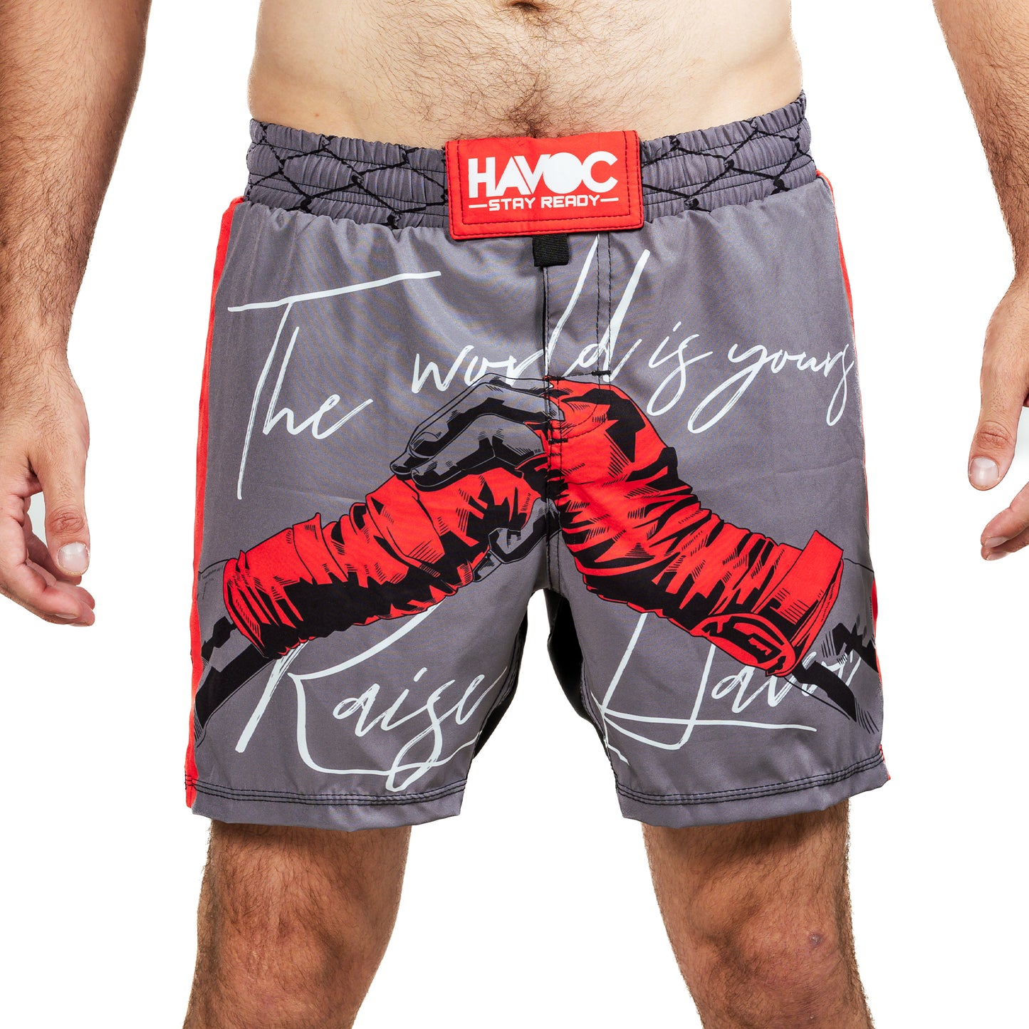 HAVOC Fight Shorts - THE WORLD IS YOURS
